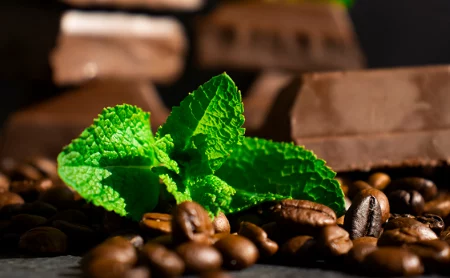The Versatile Cocoa Beans