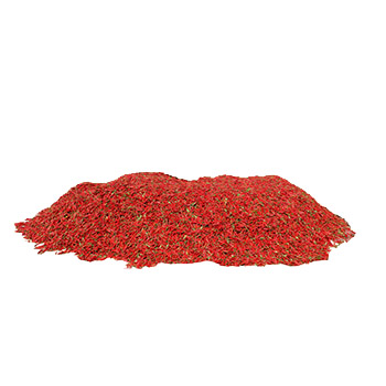 African Bird-eye Pepper