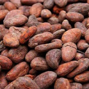 Cocoa Beans