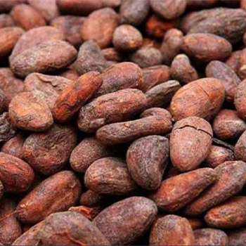 Cocoa Beans