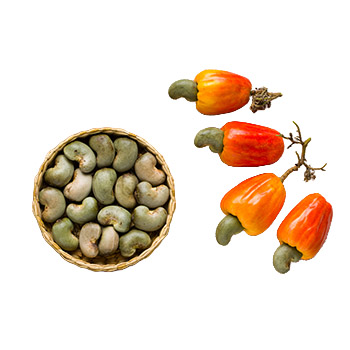 Premium Cashew Nuts