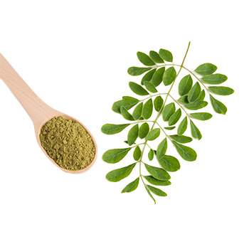 Moringa Powder