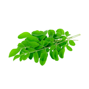 Moringa Leaf