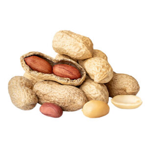Premium Nigerian Peanuts