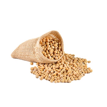 Premium Nigerian Nigerian Soy Beans