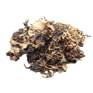 Buy Premium Stone Flower from Nigeria