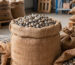 Bulk raw unprocessed cashew nuts in shell stored inside export-standard jute bags on wooden pallets in a clean warehouse.