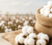 Cotton