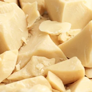Cocoa butter blocks for bulk supply
