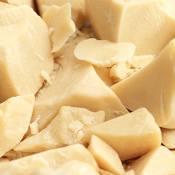 Cocoa butter blocks for bulk supply