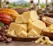 • Cocoa butter blocks with cocoa beans and pods
