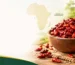 Dried African bird’s eye pepper beside jute bags for bulk supply